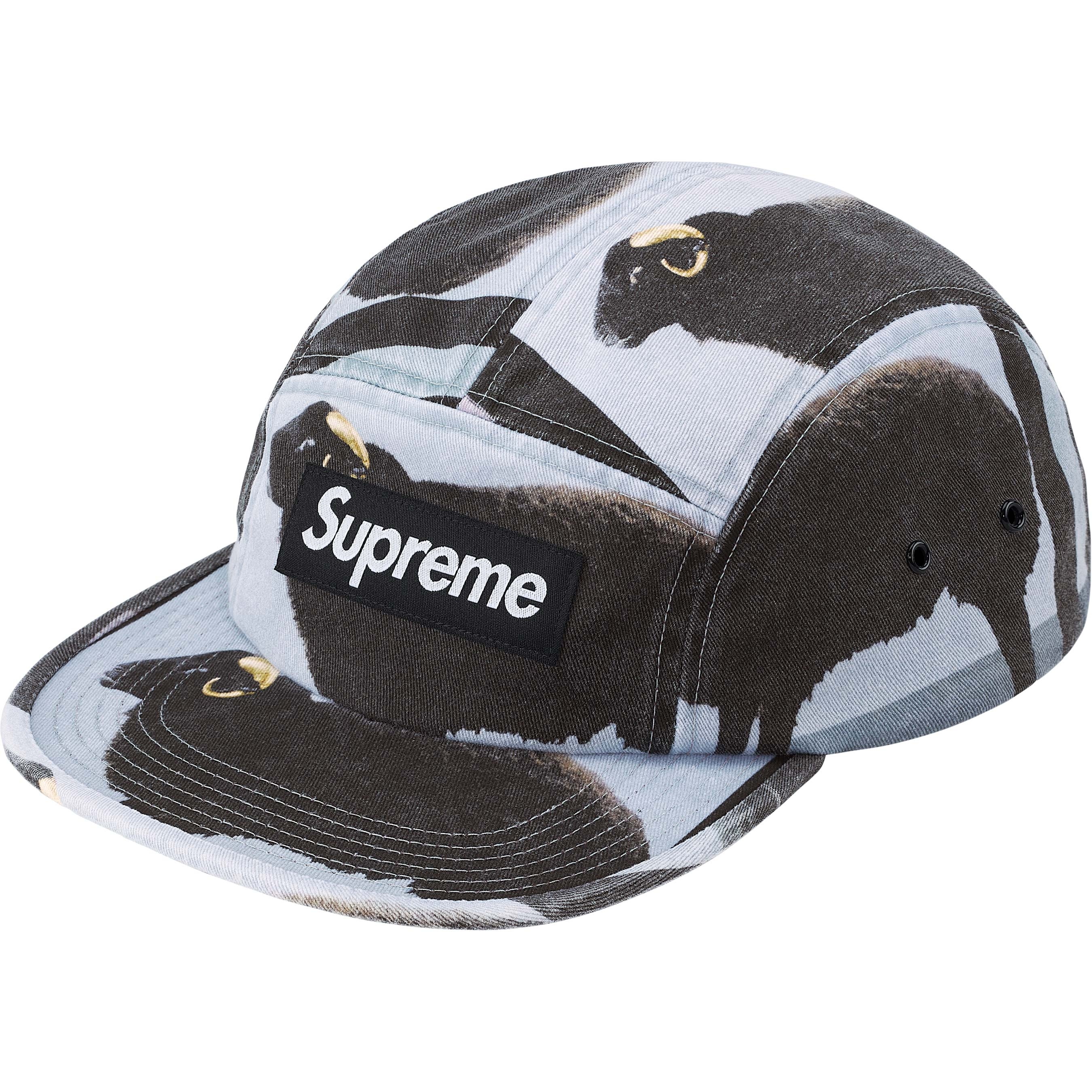 Supreme/Damien Hirst Camp Cap view 5
